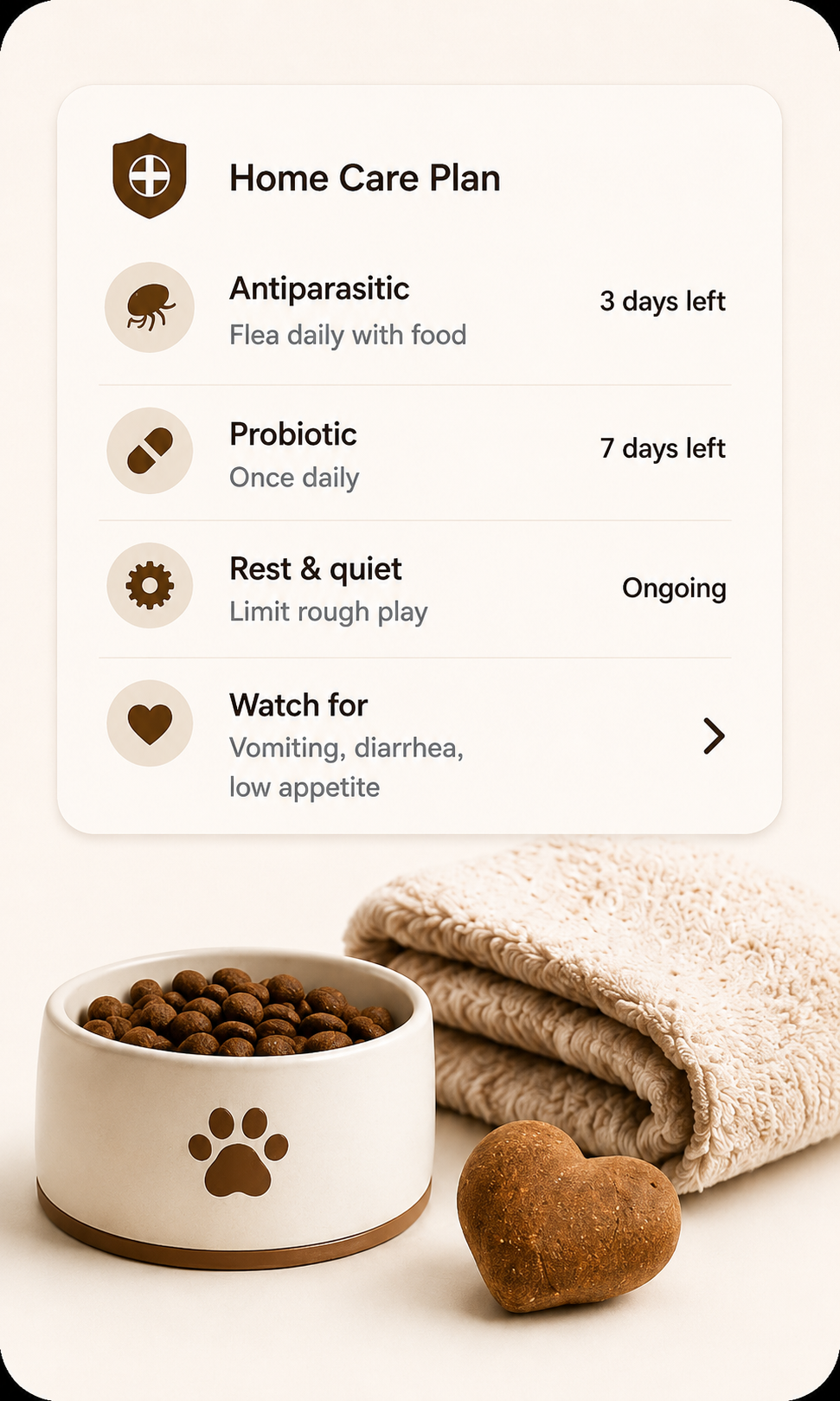 Home care plan with antibiotic, probiotic, rest, and watch-for tasks