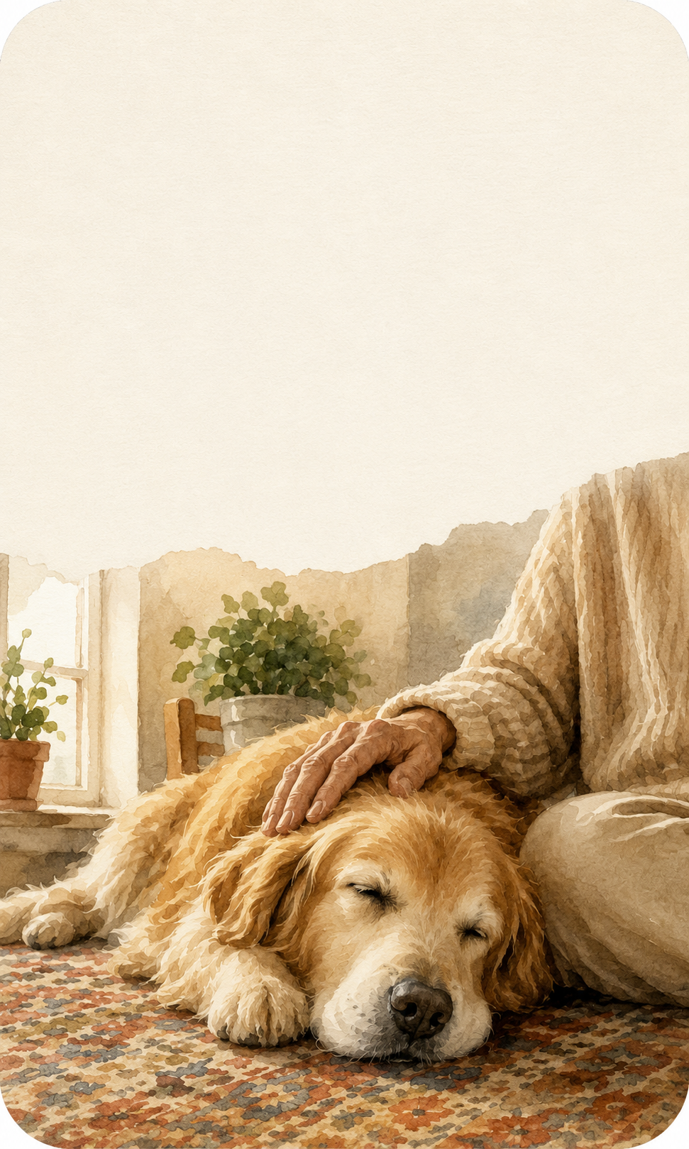 Pet health timeline showing changes over weeks