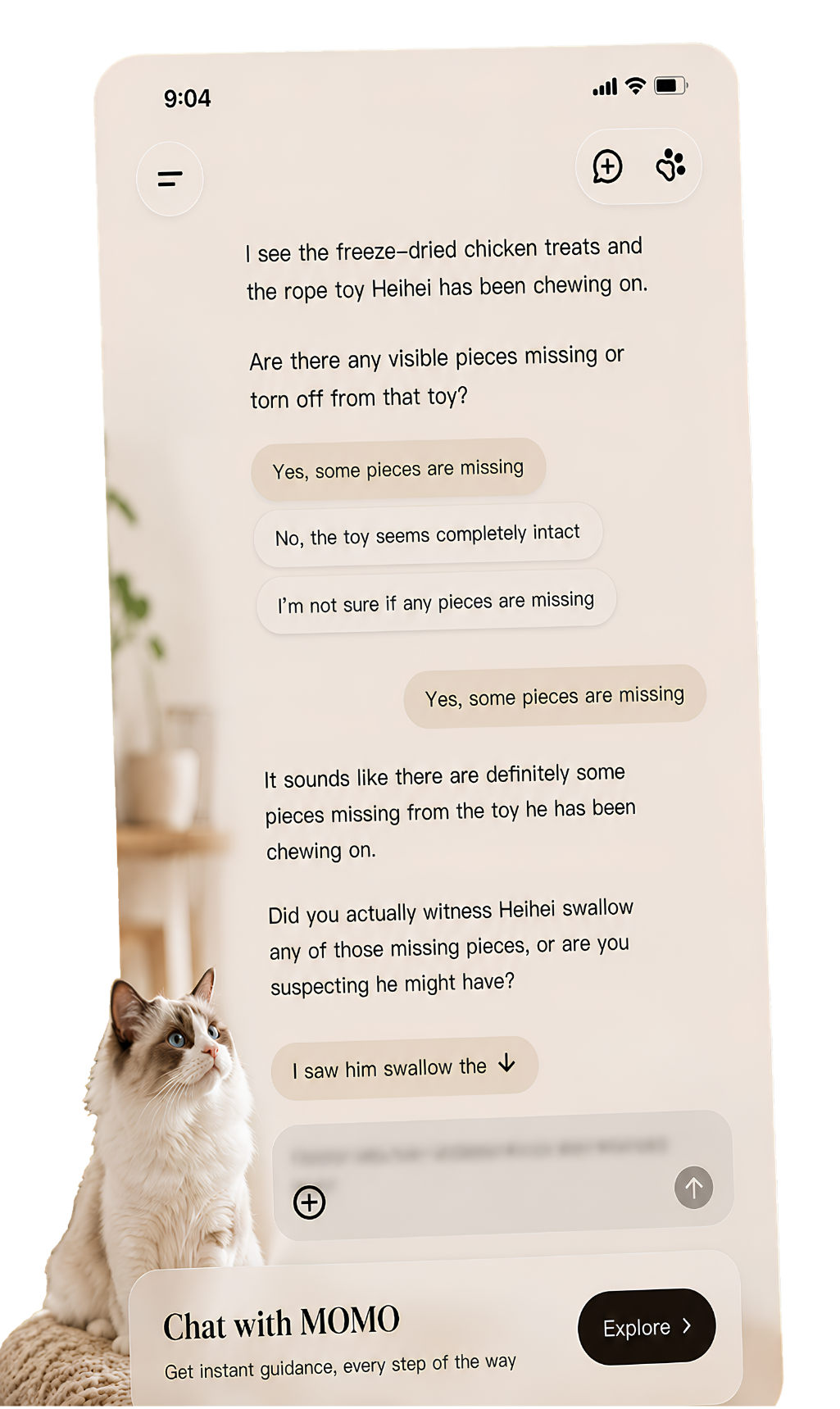 Chat with Folyah about a pet health concern