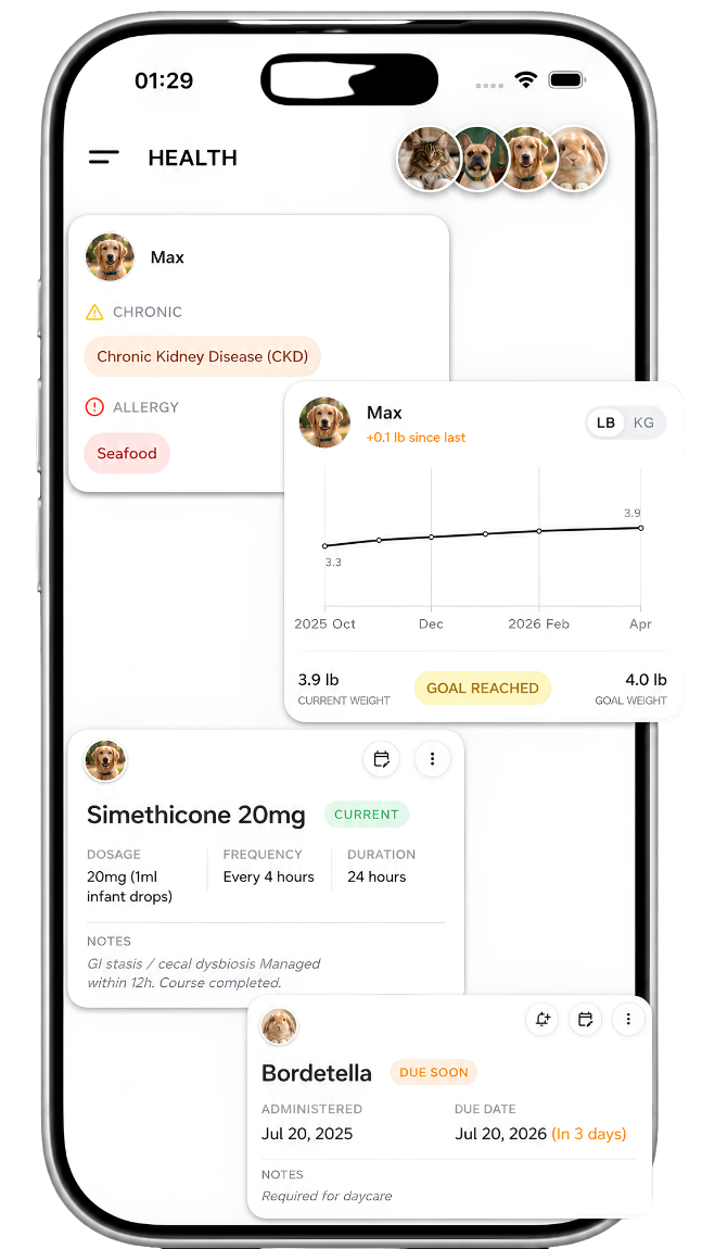 Senior health screens for weight trends and chronic conditions