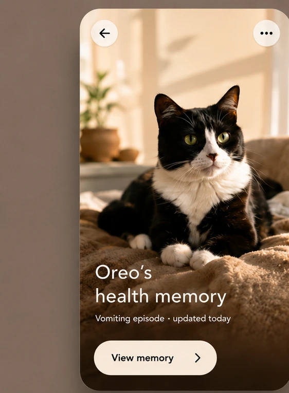 Oreo&rsquo;s health memory card